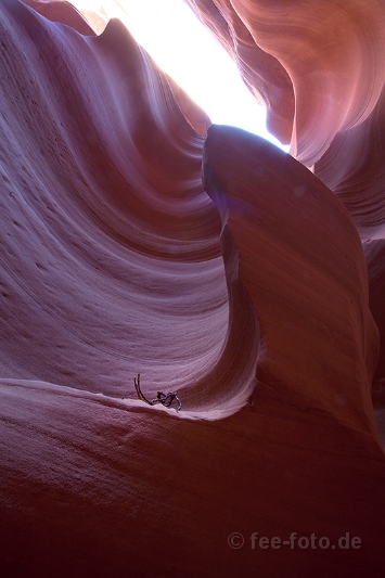 Lower Antelope Canyon - XIV